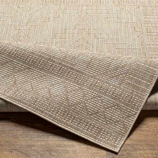 Surya Tuareg TRG-2355 Tan Global  Rug