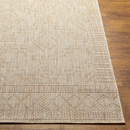 Surya Tuareg TRG-2355 Tan Global  Rug