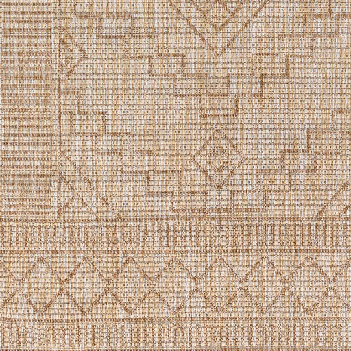 Surya Tuareg TRG-2355 Tan Global  Rug