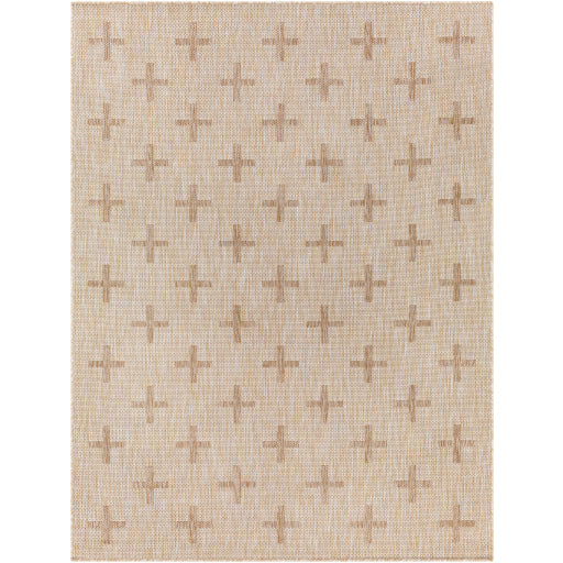 Surya Tuareg TRG-2357 Tan Global  Rug