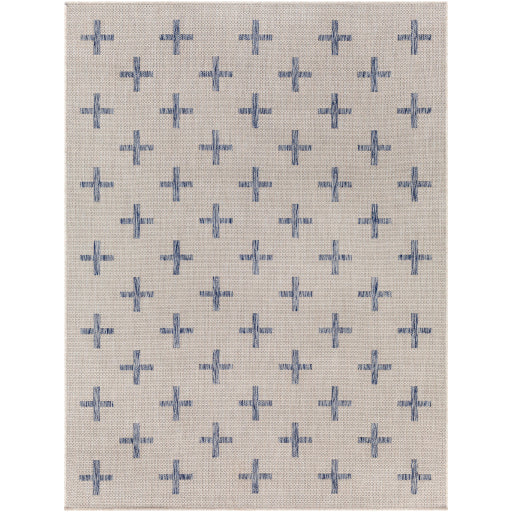 Surya Tuareg TRG-2358 Cream Global  Rug