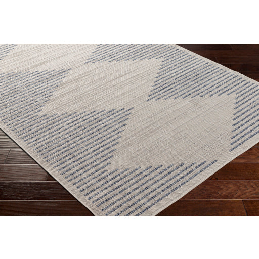 Surya Tuareg TRG-2360 Cream Global  Rug