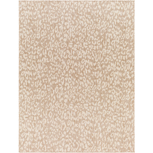 Surya Tuareg TRG-2361 Tan Modern  Rug