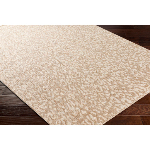 Surya Tuareg TRG-2361 Tan Modern  Rug