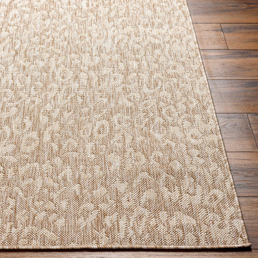 Surya Tuareg TRG-2361 Tan Modern  Rug