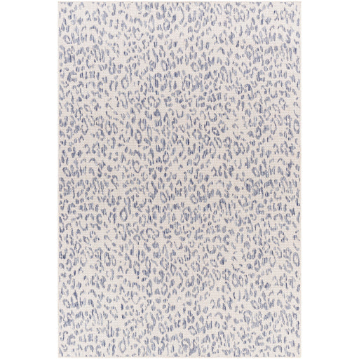 Surya Tuareg TRG-2363 Cream Modern  Rug