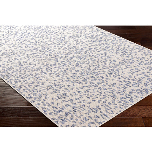 Surya Tuareg TRG-2363 Cream Modern  Rug