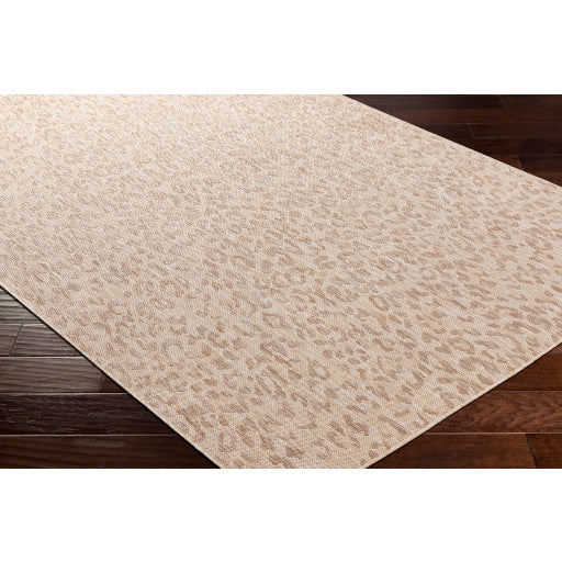 Surya Tuareg TRG-2364 Light Beige Modern  Rug