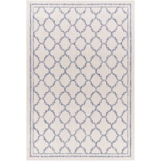 Surya Tuareg TRG-2375 Cream Traditional  Rug