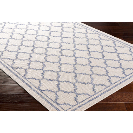 Surya Tuareg TRG-2375 Cream Traditional  Rug