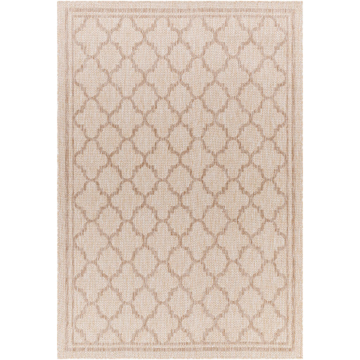 Surya Tuareg TRG-2376 Light Beige Traditional  Rug