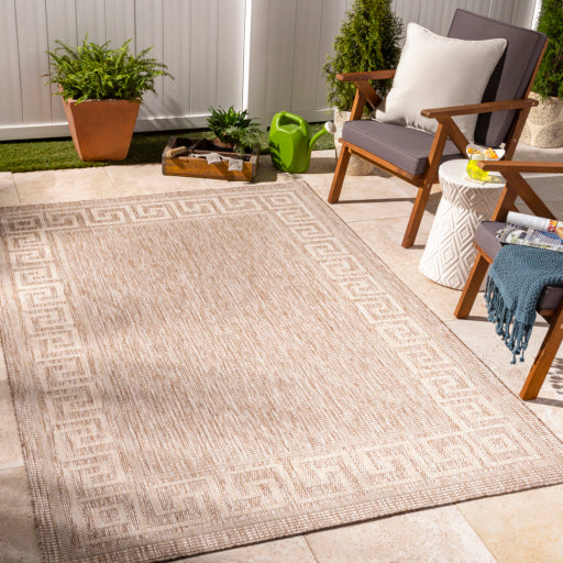 Surya Tuareg TRG-2380 Light Beige Traditional  Rug