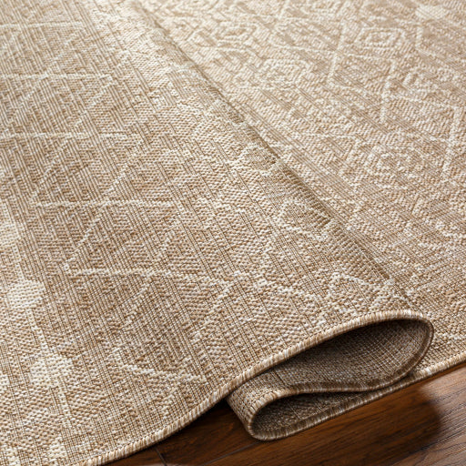 Surya Tuareg TRG-2385 Tan Global  Rug