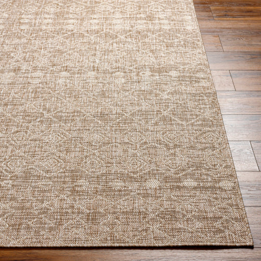 Surya Tuareg TRG-2385 Tan Global  Rug