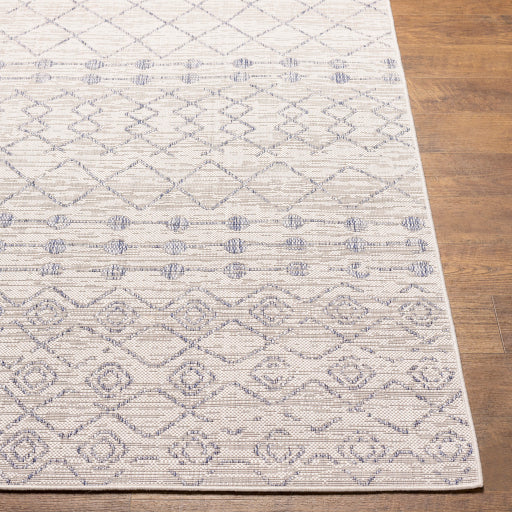 Surya Tuareg TRG-2387 Cream Global  Rug