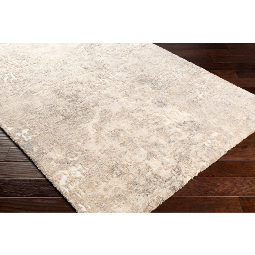 Surya Tuscany TUS-2304 Ivory Modern  Rug