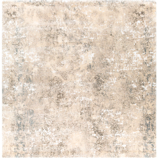 Surya Tuscany TUS-2304 Ivory Modern  Rug