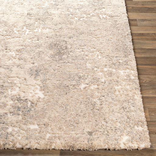 Surya Tuscany TUS-2304 Ivory Modern  Rug