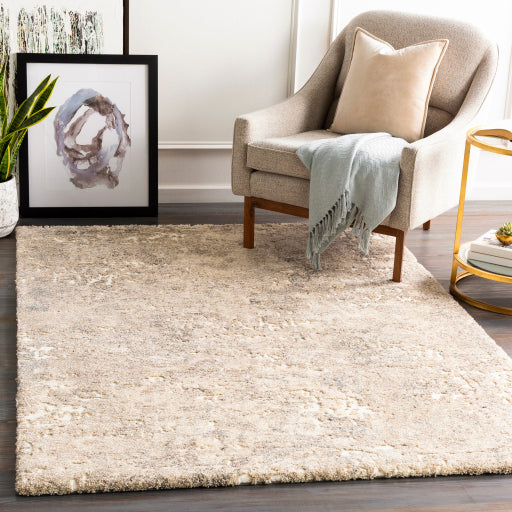 Surya Tuscany TUS-2304 Ivory Modern  Rug