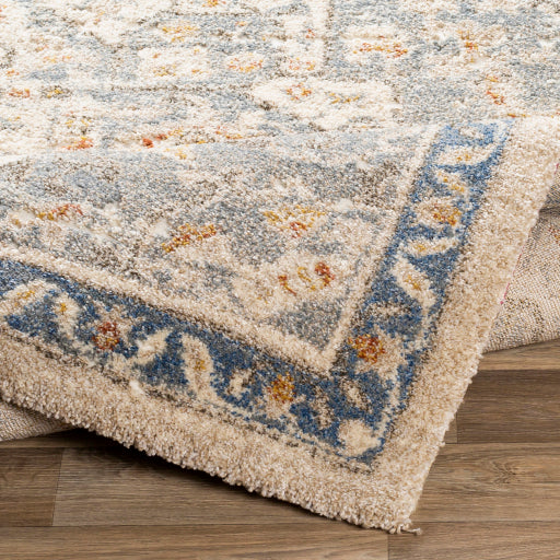 Surya Tuscany TUS-2309 Denim Traditional  Rug