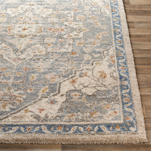 Surya Tuscany TUS-2309 Denim Traditional  Rug