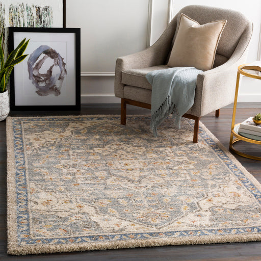 Surya Tuscany TUS-2309 Denim Traditional  Rug