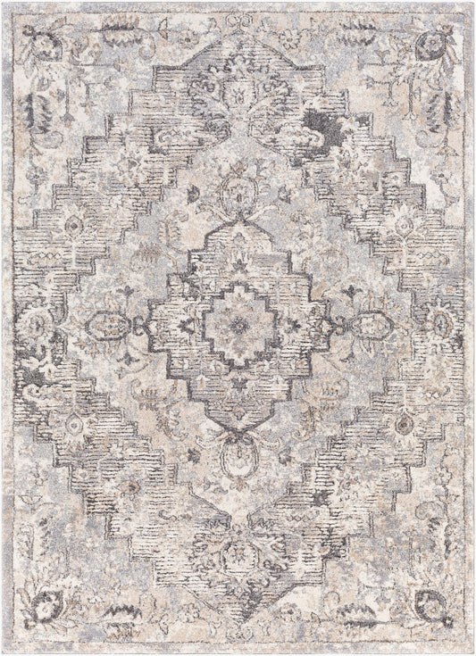 Surya Tuscany TUS-2321 Gray  Traditional  Rug