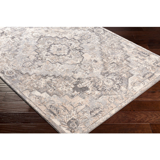 Surya Tuscany TUS-2321 Gray Traditional  Rug