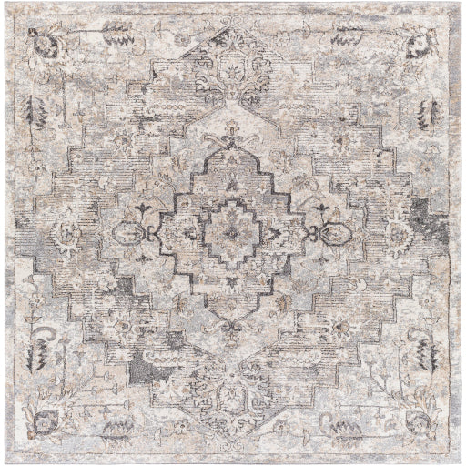 Surya Tuscany TUS-2321 Gray Traditional  Rug