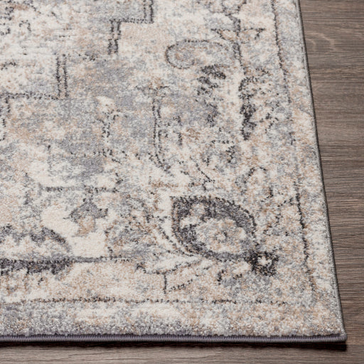 Surya Tuscany TUS-2321 Gray Traditional  Rug