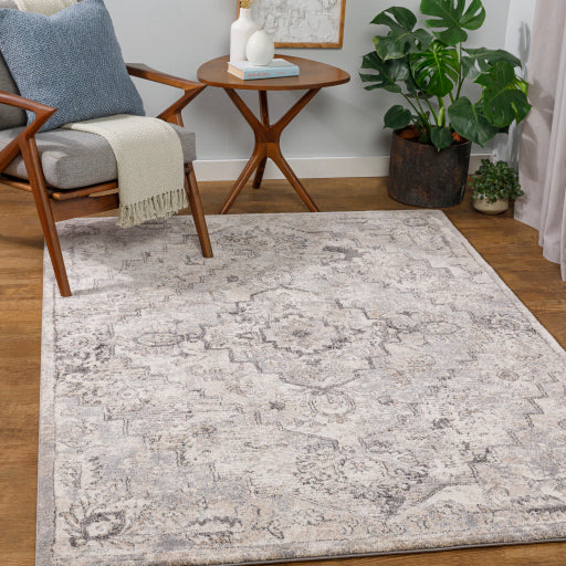 Surya Tuscany TUS-2321 Gray Traditional  Rug