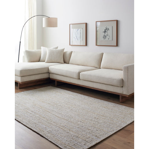 Surya Trenzado TZD-2301 Beige Modern  Rug