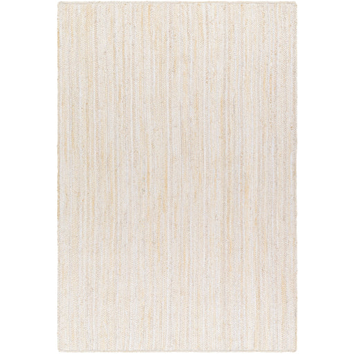 Surya Trenzado TZD-2301 Beige Modern  Rug