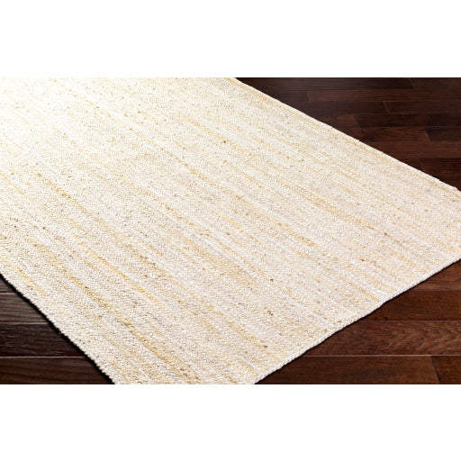 Surya Trenzado TZD-2301 Beige Modern  Rug