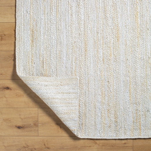 Surya Trenzado TZD-2301 Beige Modern  Rug