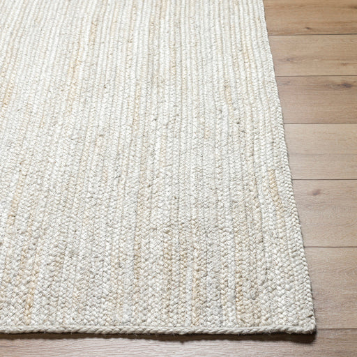 Surya Trenzado TZD-2301 Beige Modern  Rug