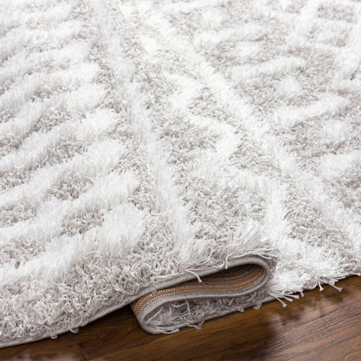 Surya Urban Shag USG-2310 White Global  Rug