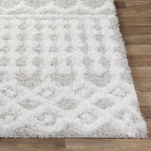 Surya Urban Shag USG-2310 White Global  Rug