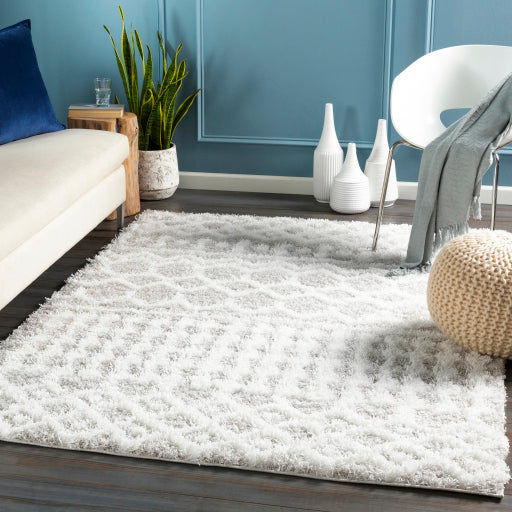 Surya Urban Shag USG-2310 White Global  Rug