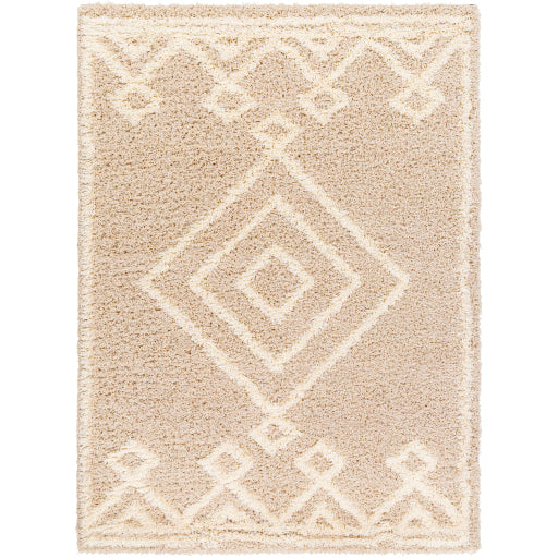 Surya Urban Shag USG-2312 Beige Modern  Rug