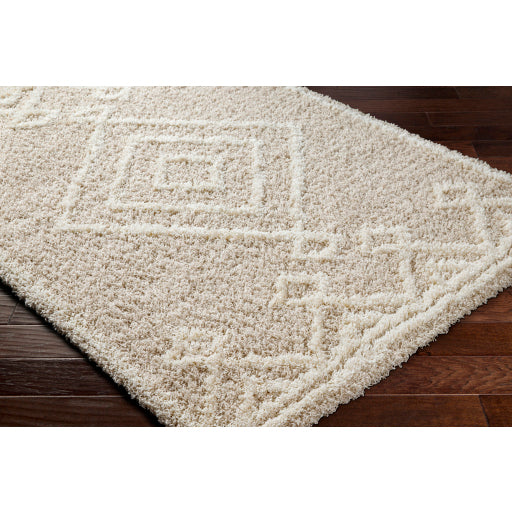 Surya Urban Shag USG-2312 Beige Modern  Rug