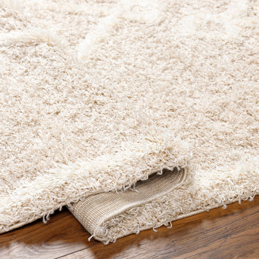 Surya Urban Shag USG-2312 Beige Modern  Rug