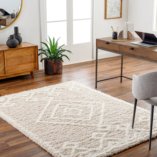 Surya Urban Shag USG-2312 Beige Modern  Rug