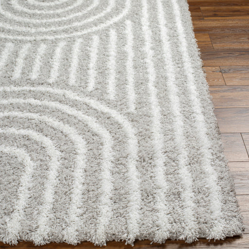 Surya Urban Shag USG-2314 Light Gray Global  Rug