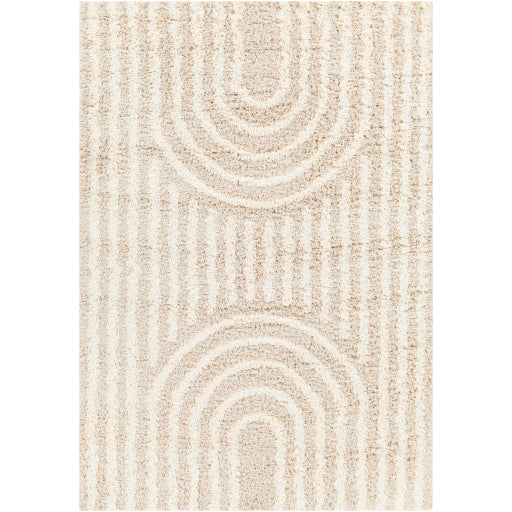 Surya Urban Shag USG-2315 Beige Global  Rug