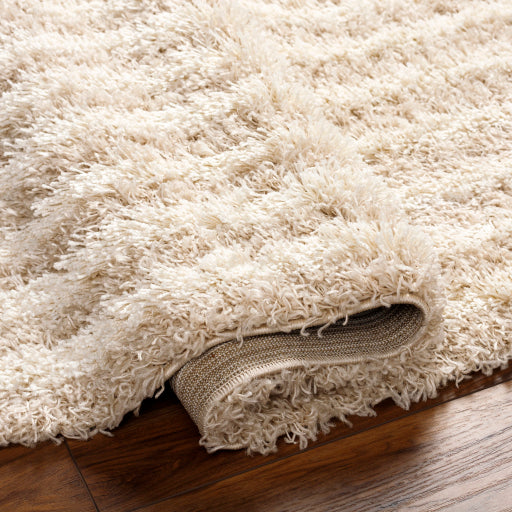 Surya Urban Shag USG-2315 Beige Global  Rug