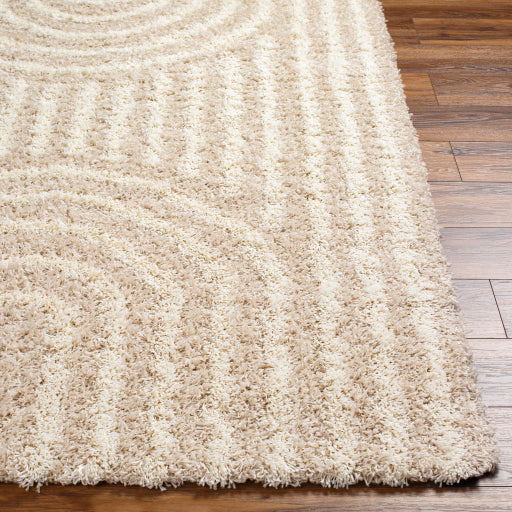 Surya Urban Shag USG-2315 Beige Global  Rug