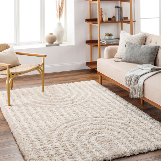 Surya Urban Shag USG-2315 Beige Global  Rug