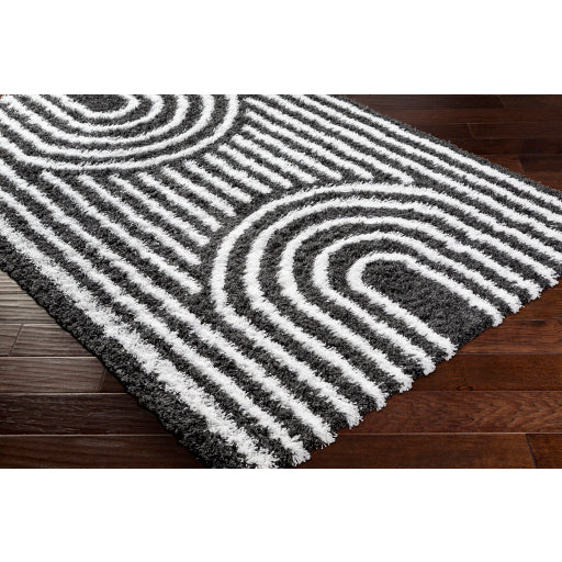 Surya Urban Shag USG-2318 Black Global  Rug