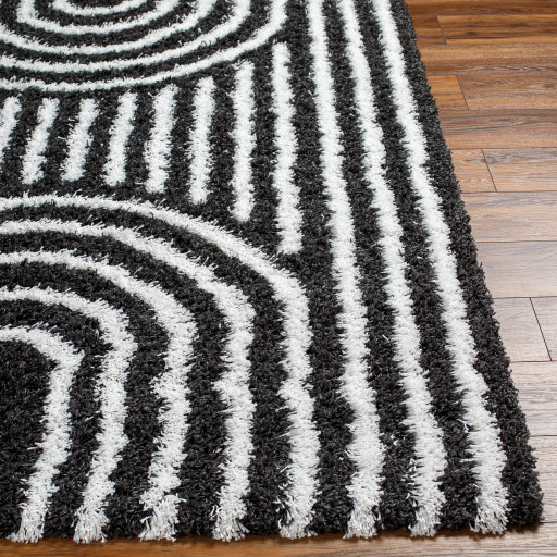 Surya Urban Shag USG-2318 Black Global  Rug